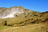DSCN7178