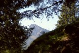 DSCN7184