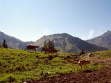 DSCN7189b