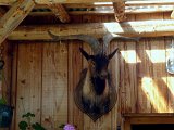DSCN7193c