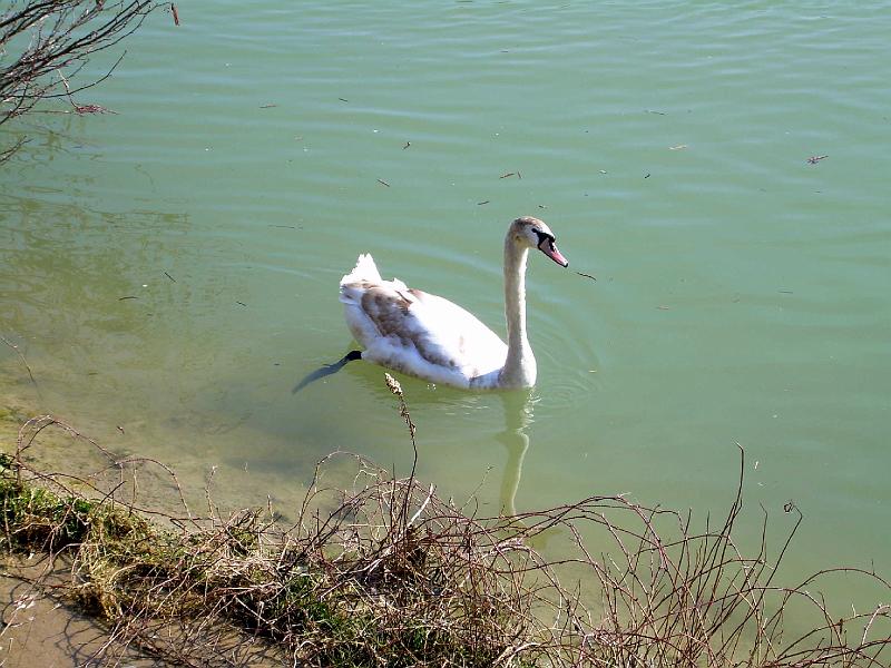 DSCN3350.JPG