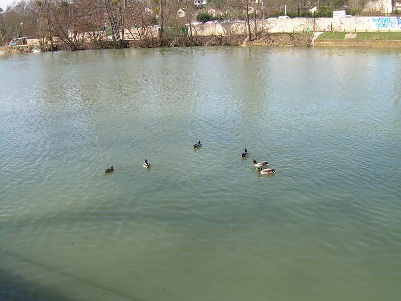 DSCN3361.JPG