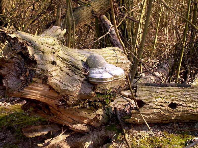 DSCN3376.JPG