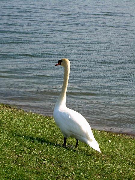 DSCN3460.JPG