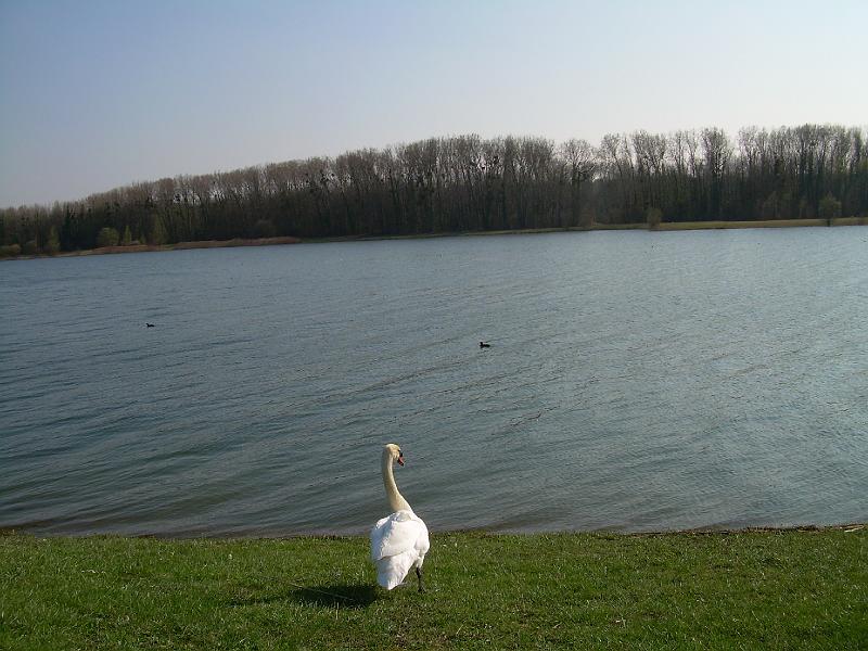 DSCN3462.JPG