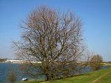 DSCN3447