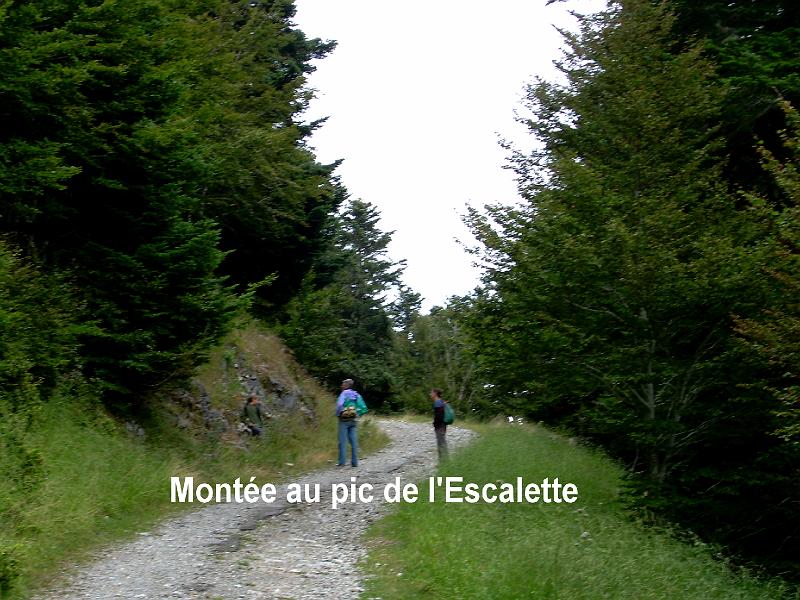 ADSCN2723.JPG