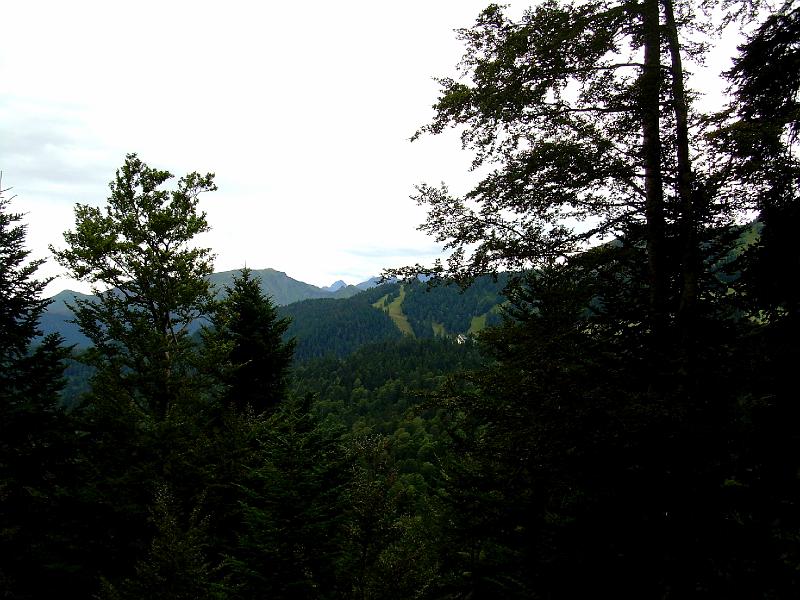 DSCN2724.JPG