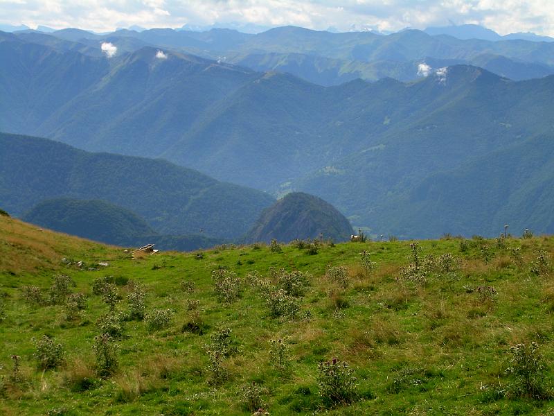 DSCN2733.JPG