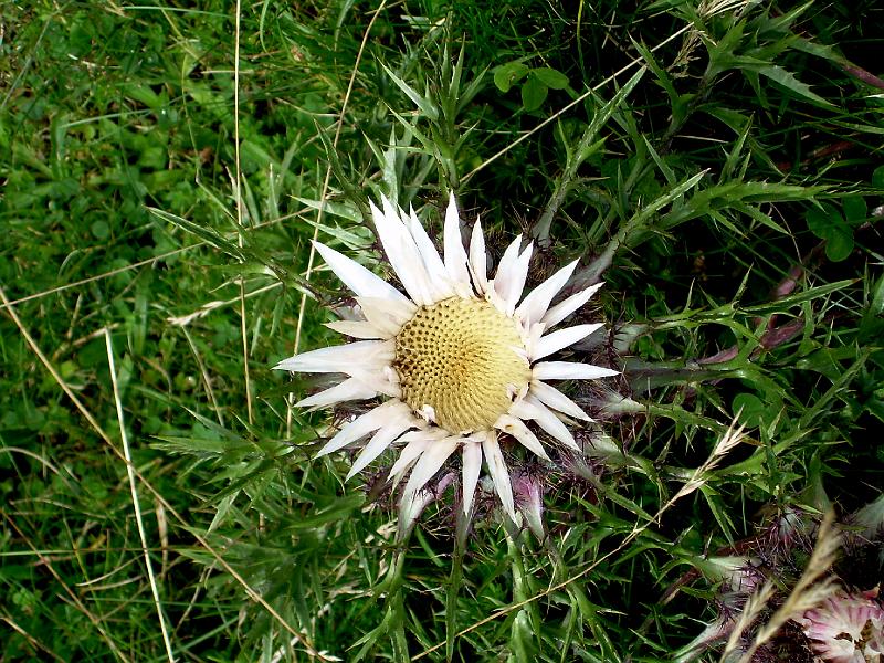 DSCN2735.JPG