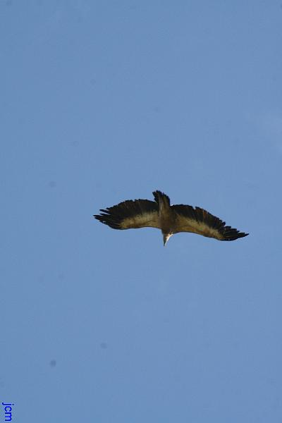 DSCN2752.JPG