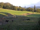 DSCN5851