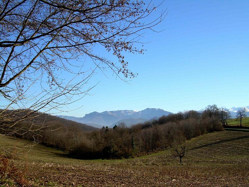DSCN3661.JPG