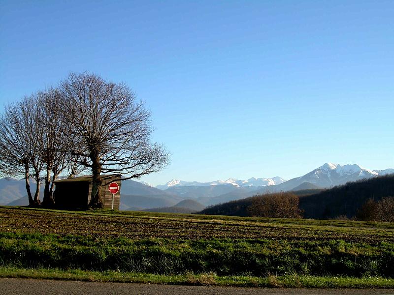DSCN3681.JPG