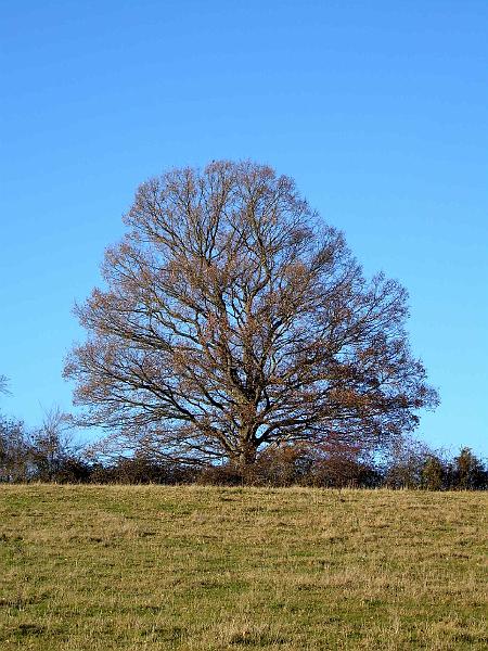 DSCN3707.JPG