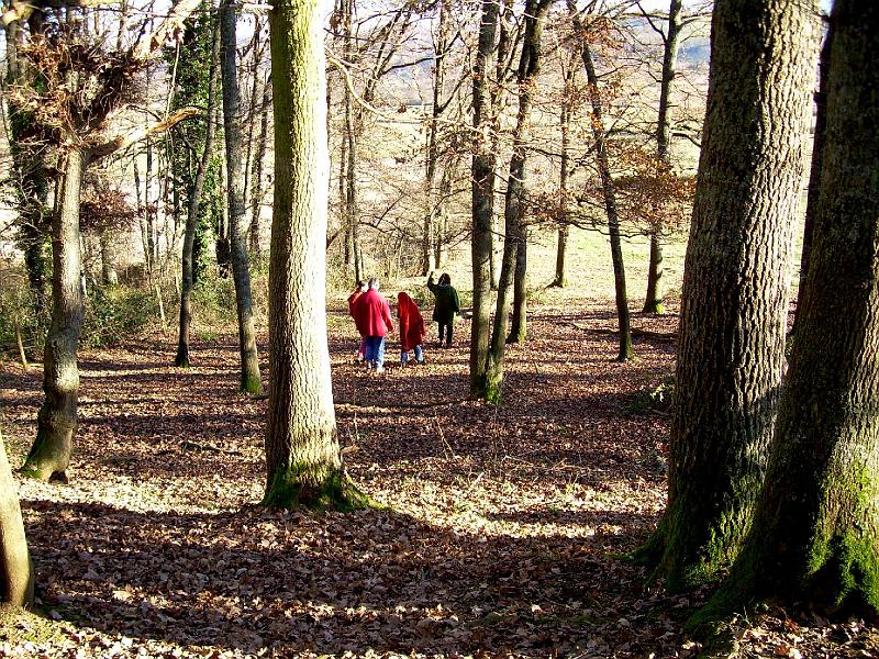 DSCN3712.JPG