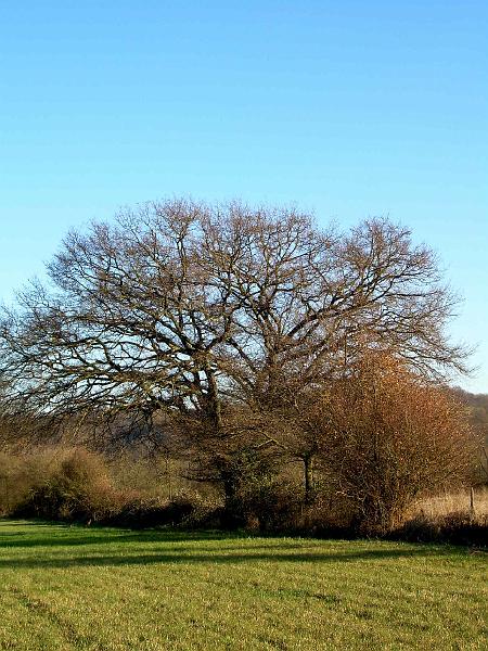 DSCN3720.JPG