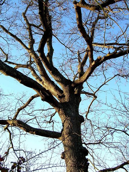 DSCN3745.JPG