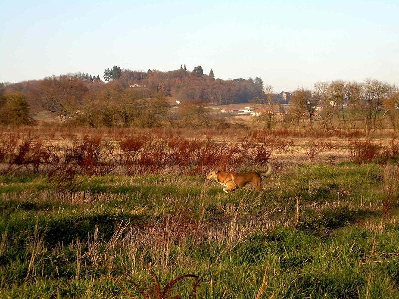 DSCN3752.JPG