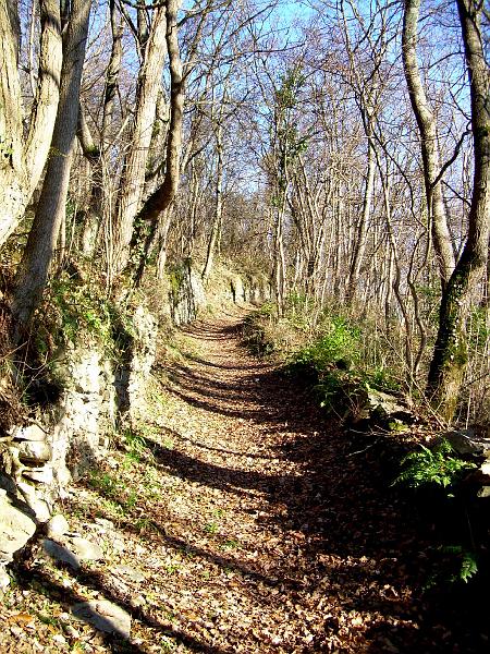 DSCN3758.JPG
