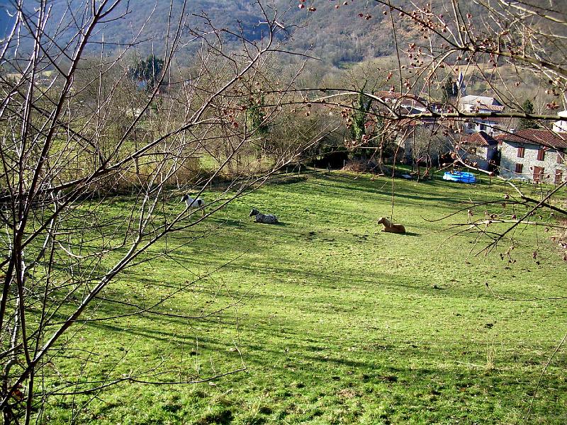 DSCN3789.JPG