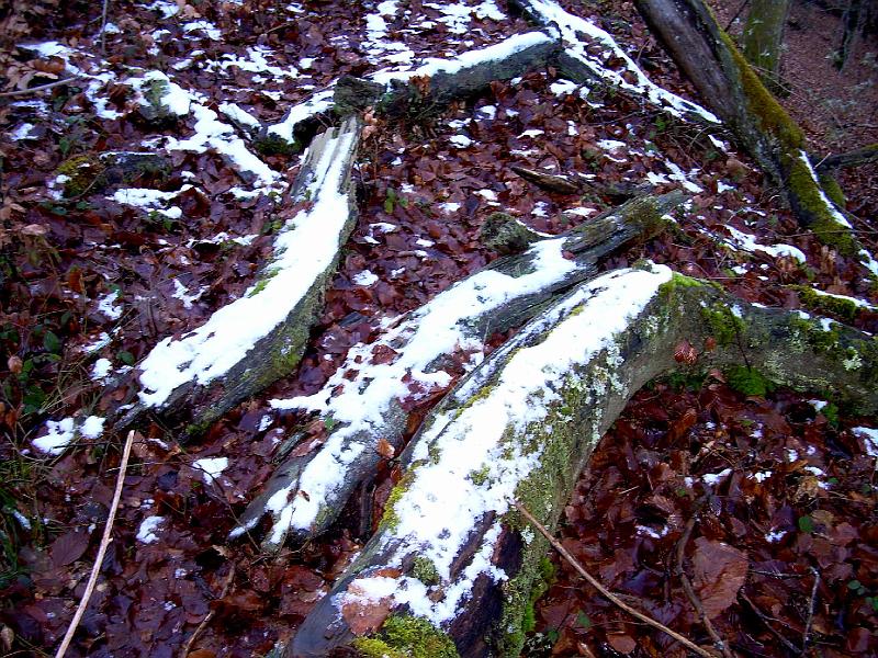 DSCN3804.JPG