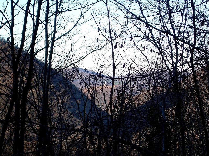 DSCN3807.JPG